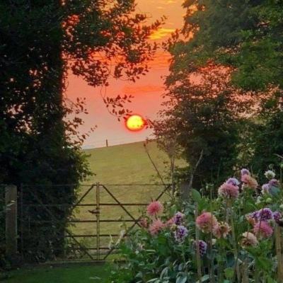 万博手机版max网页版(中国)官方网站下载手机版