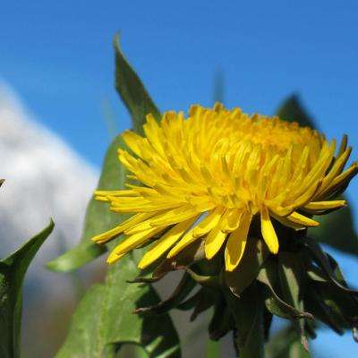 pg娱乐电子游戏官网手机app下载